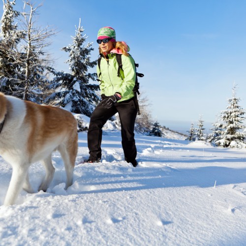 Wandelen in de sneeuw