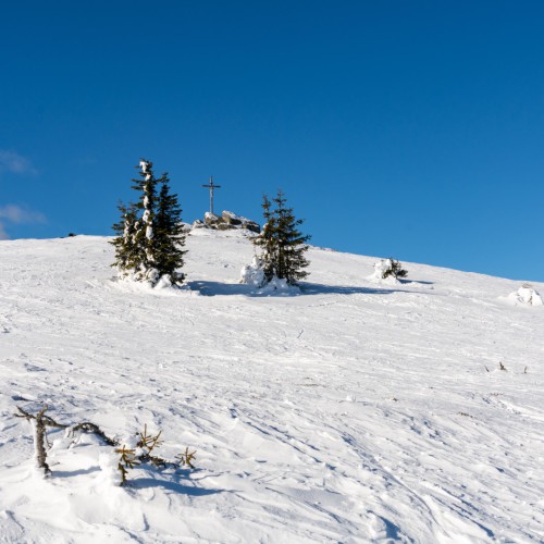 Hirschegg piste